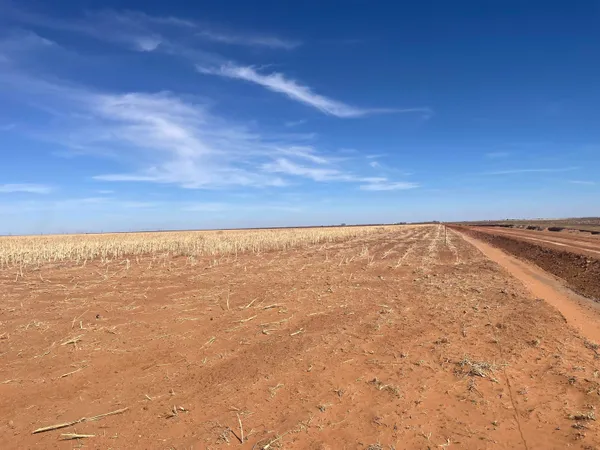 wooden view of city and mountain
