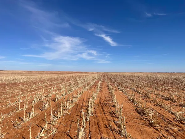 $800,000 | 303 Farm-to-market Road Road, Brownfield, TX 79316