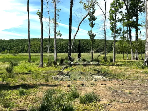 a view of yard with green space