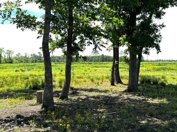 $670,000 | 3400 Fm 1127, Shepherd, TX 77371