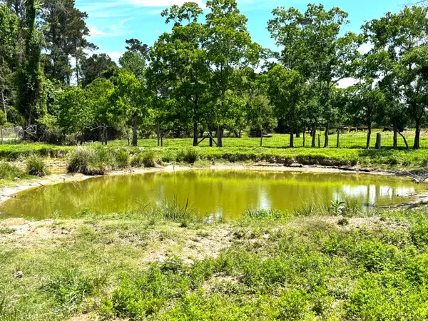 a view of a lake with a yard and large trees