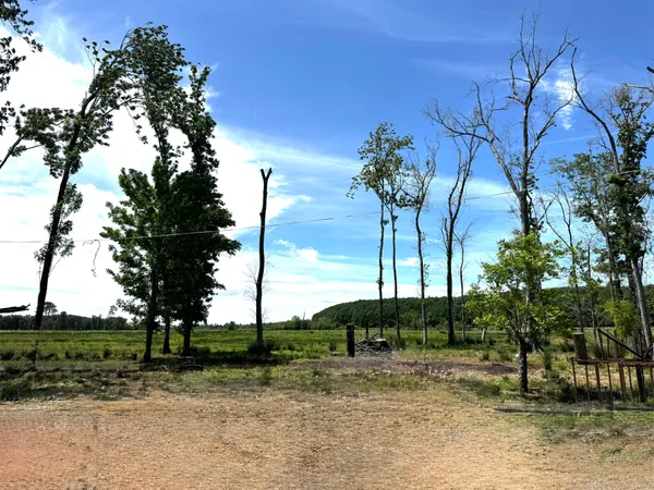 a view of a yard with a tree in the background