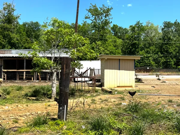 a view of backyard of house with green space