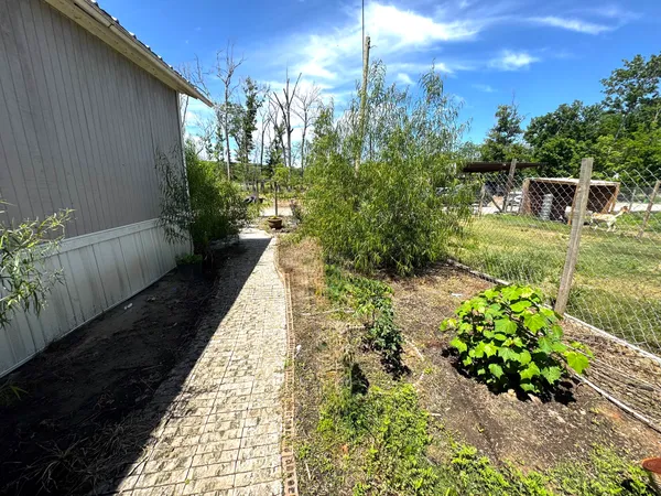 a view of a pathway with flower plants