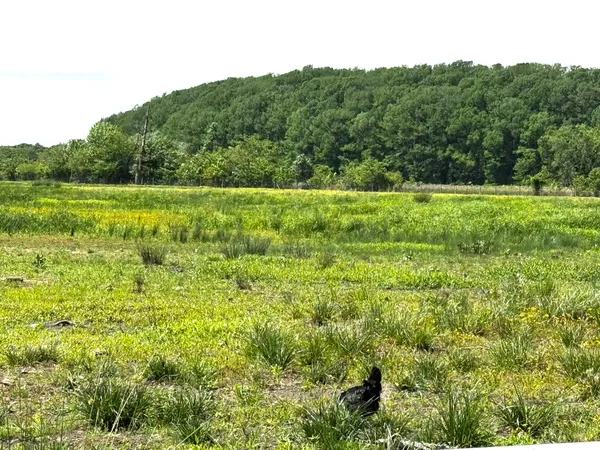 a view of a green field with clear sky