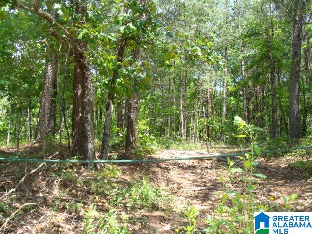 0 Stipes Road, Unit ACREAGE West Blocton, AL 35184 - Photo 1 of 6