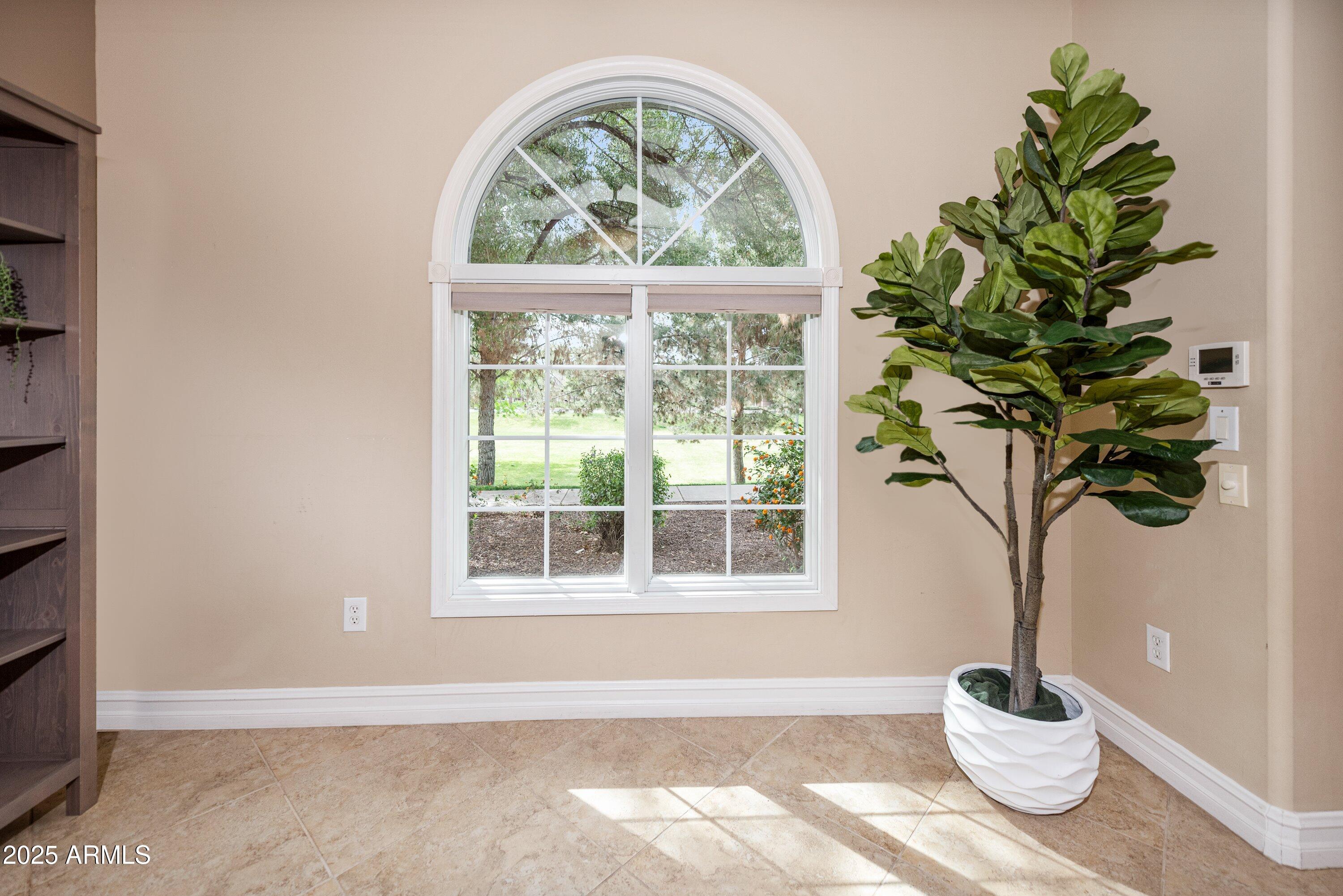 964 South Henry Lane Gilbert, AZ 85296 - Photo 11 of 48 a view of a potted plant in a room next to a window