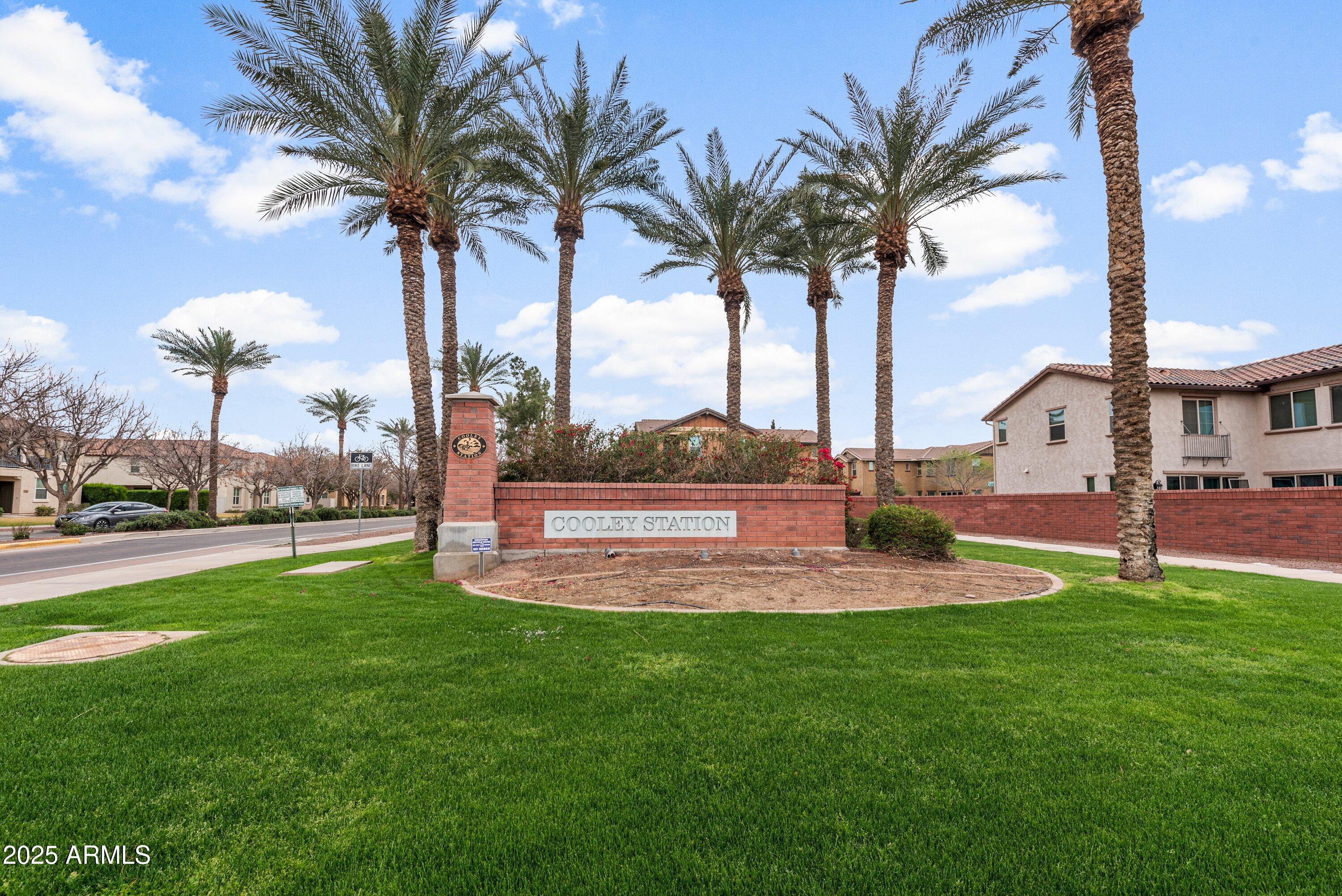 964 South Henry Lane Gilbert, AZ 85296 - Photo 33 of 48 a view of a yard and front view of a house