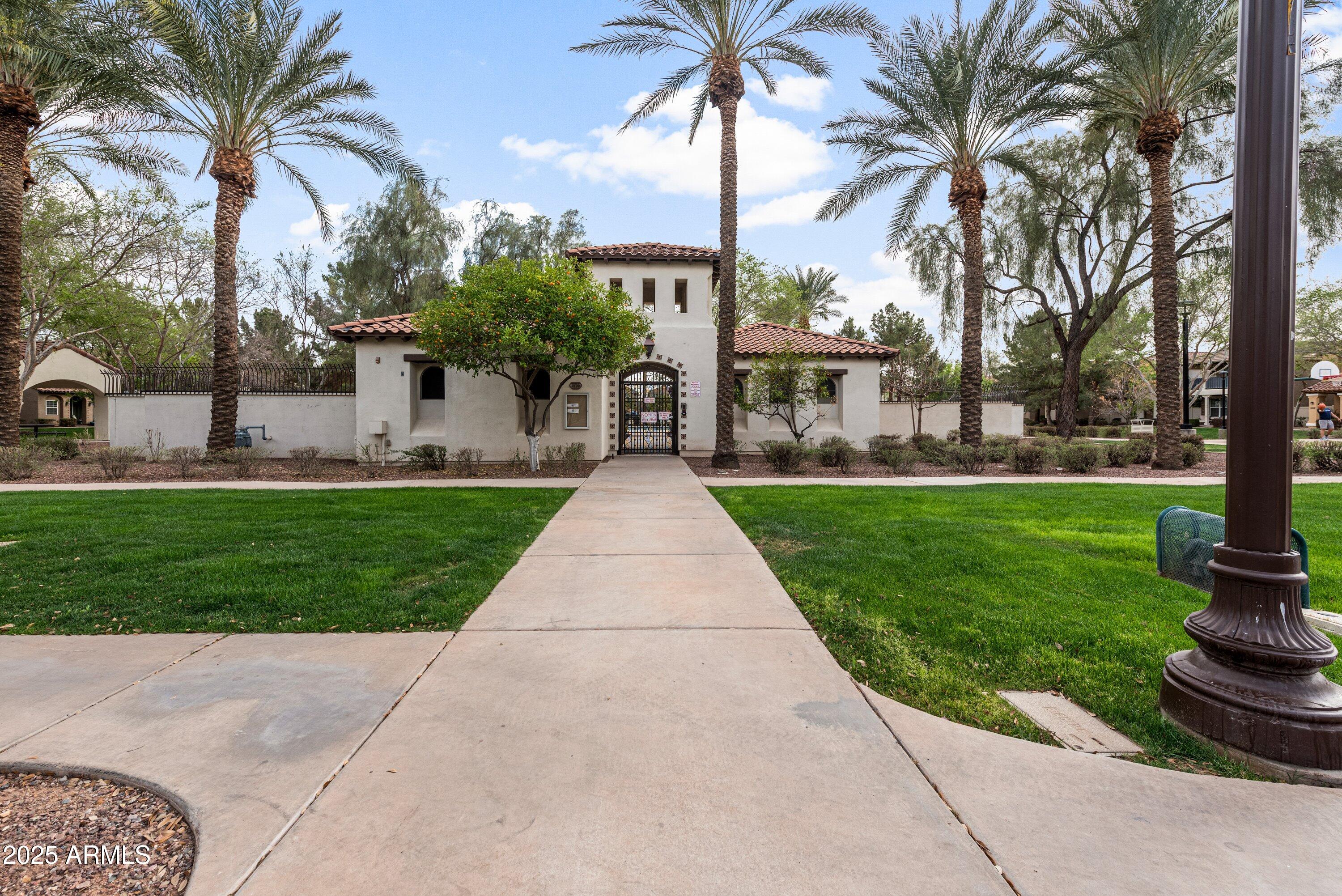 964 South Henry Lane Gilbert, AZ 85296 - Photo 42 of 48 a front view of a garden with palm trees