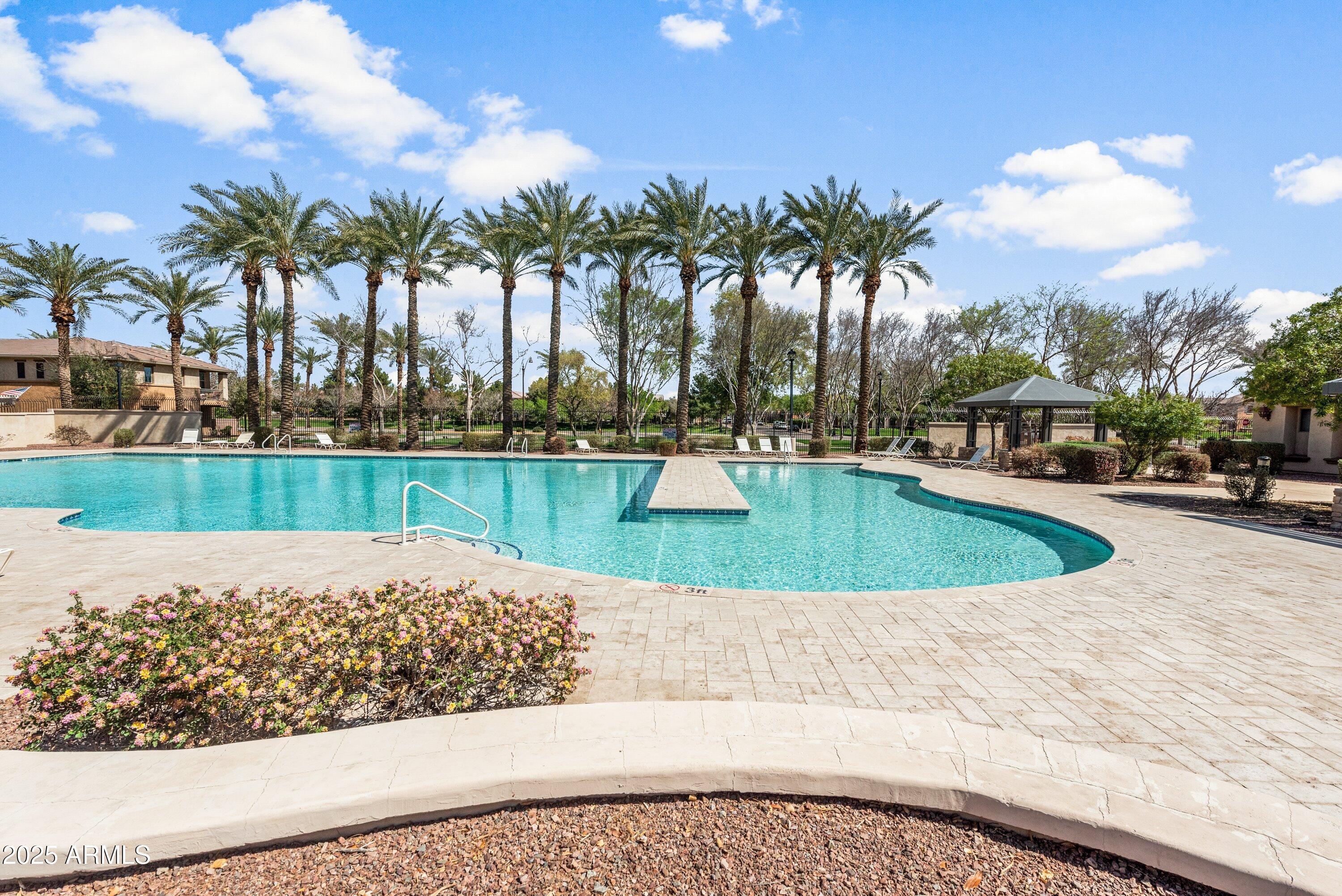964 South Henry Lane Gilbert, AZ 85296 - Photo 8 of 48 a view of a park with palm trees