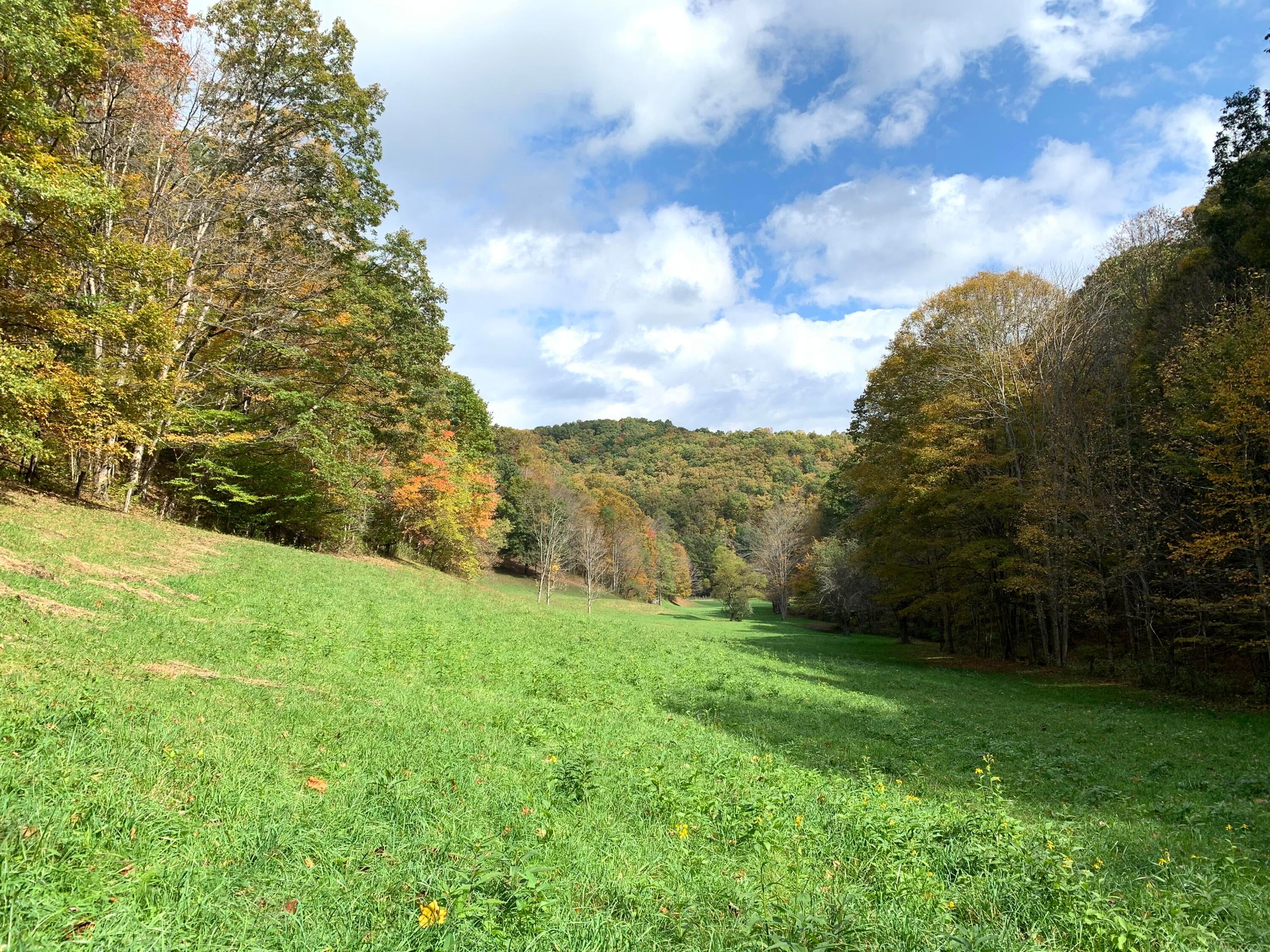 3446 Snake Run Road Alderson, WV 24910 - Photo 52 of 95 Gallery Image 52