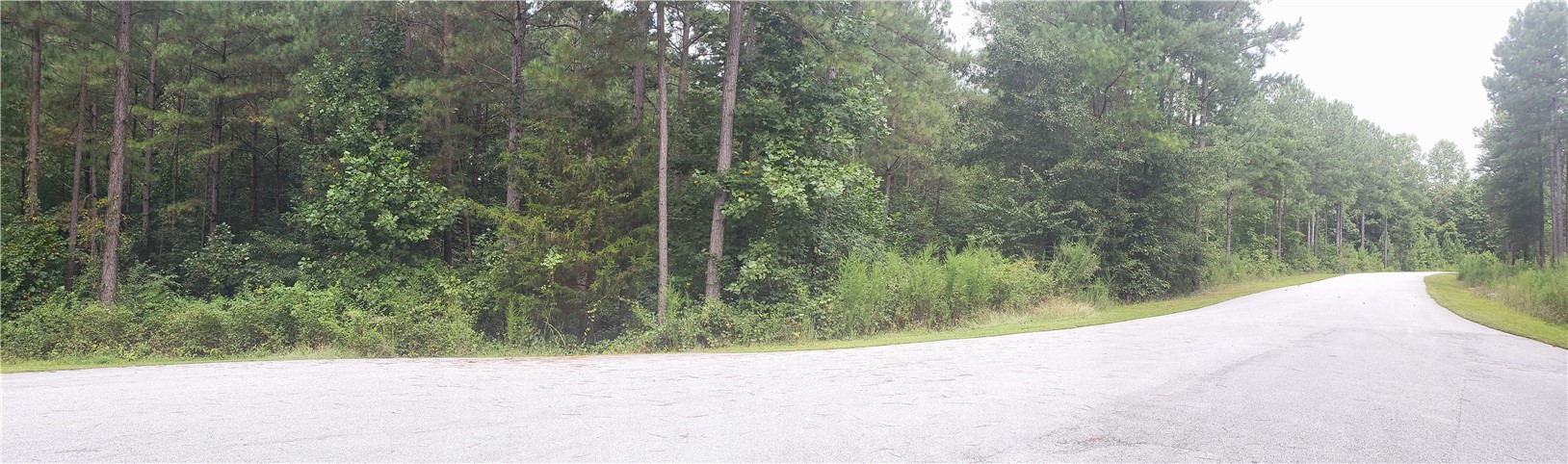 Lot 152 Watercrest Rd Union West Union, SC 29696 - Photo 1 of 9