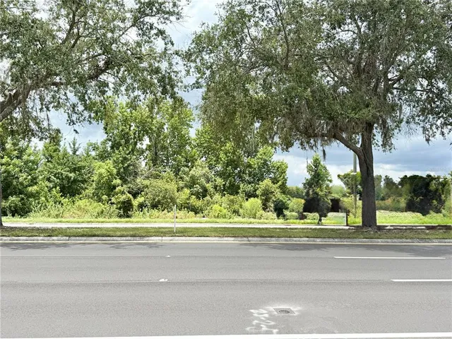 a view of a yard and a road