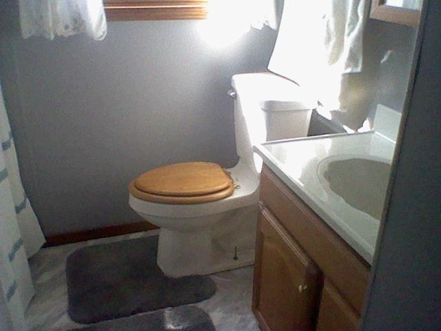 3309 County Road 53 Butler, IN 46721 - Photo 10 of 14 Gallery Image 10