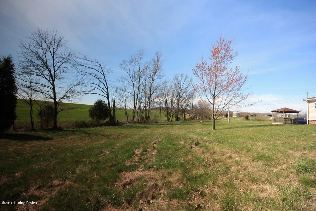 17201 Beaver Dam Road Caneyville, KY 42721 - Photo 6 of 30 6 1 SPARKS AUCTION