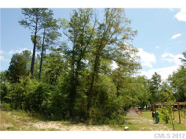 Lot 40 Enchanto Road, Unit 40 York, SC 29745 - Photo 1 of 2 Gallery Image 1