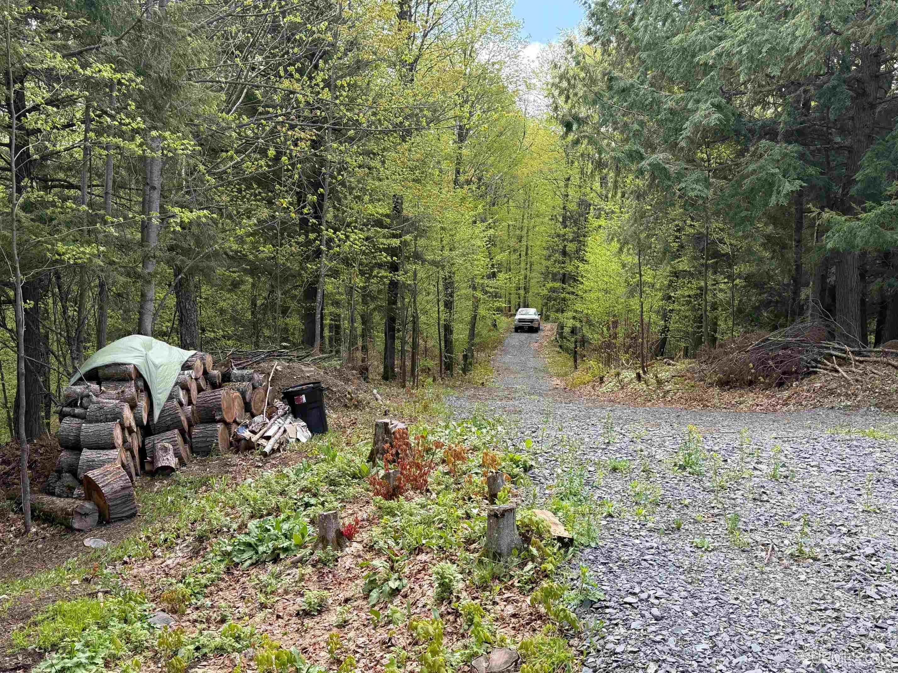 Tbd10 Baraga Plains Road Lanse, MI 49946 - Photo 15 of 19