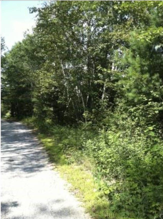 Lot 4 Catterall Road Lisbon, NH 03585 - Photo 4 of 7