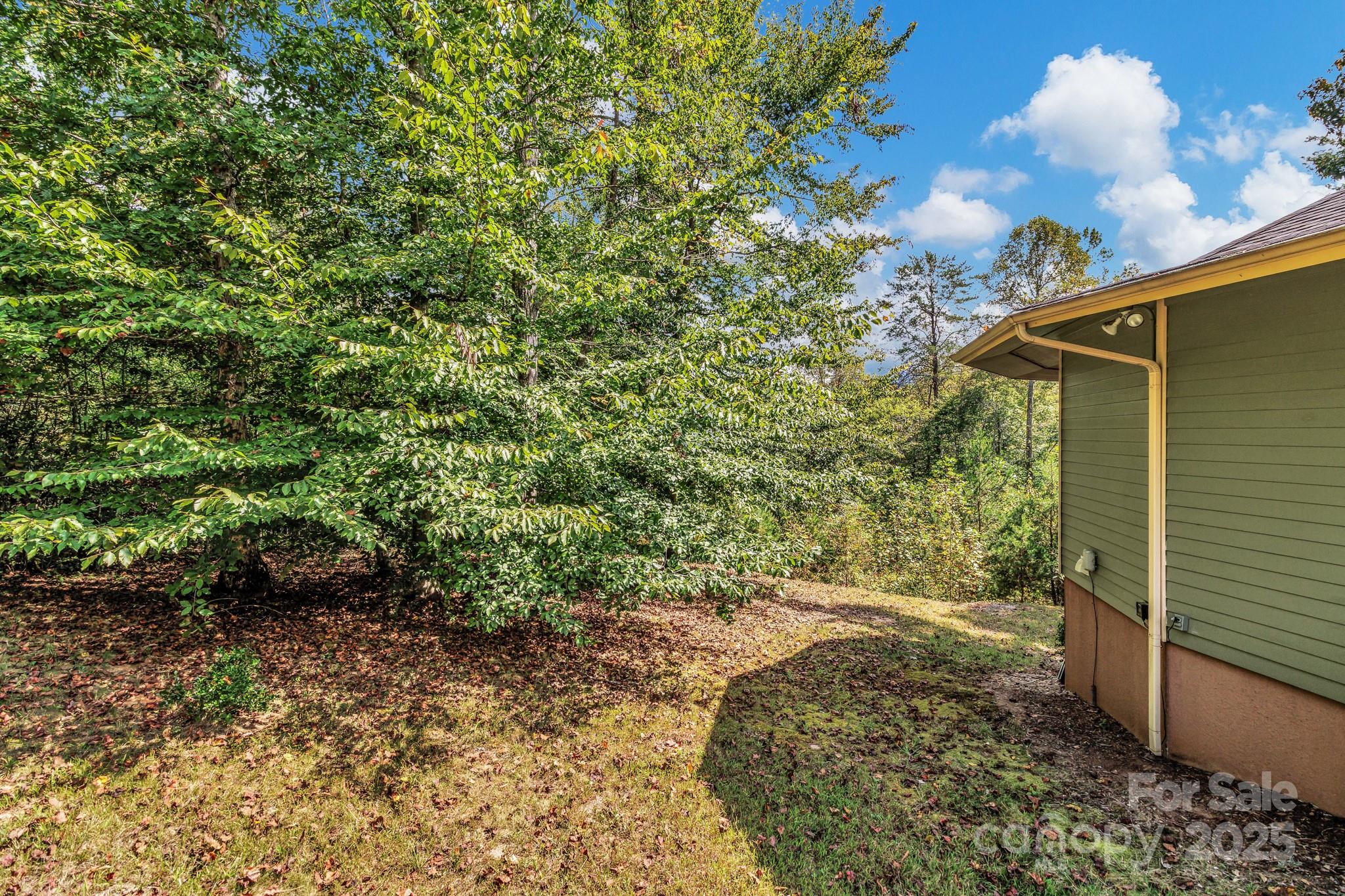 939 Morgan Hill Road Black Mountain, NC 28711 - Photo 22 of 48 a view of a back yard