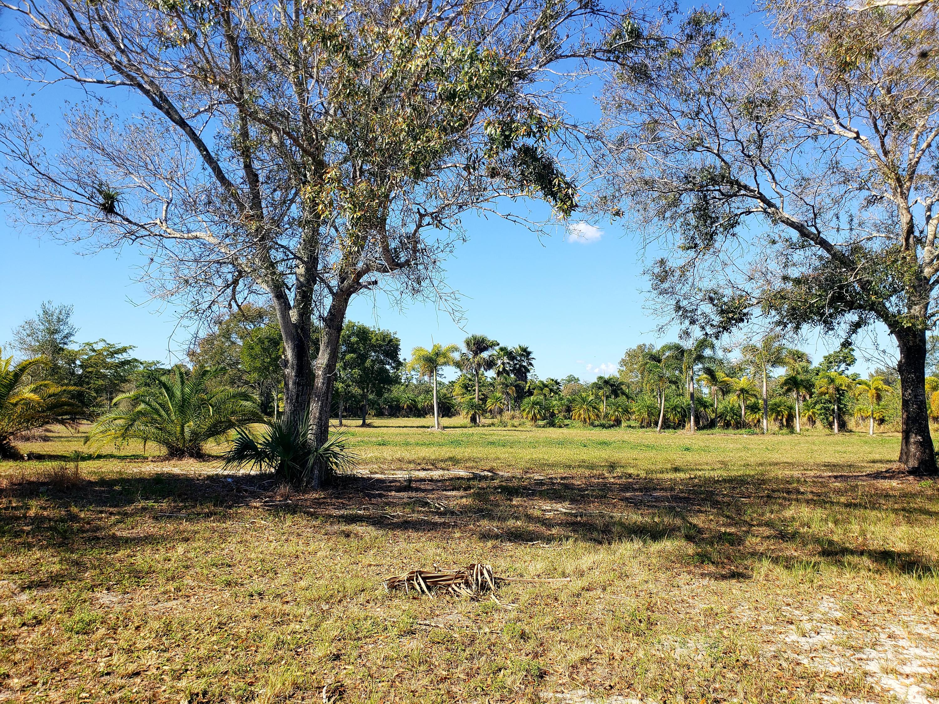 3707 D Road Loxahatchee Groves, FL 33470 - Photo 34 of 49 20190111_123913