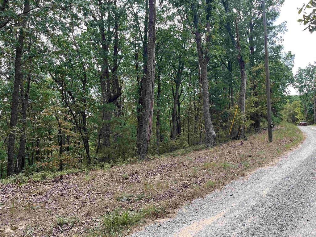 32 Antler Drive Ranger, GA 30734 - Photo 2 of 6 a view of a forest filled with trees