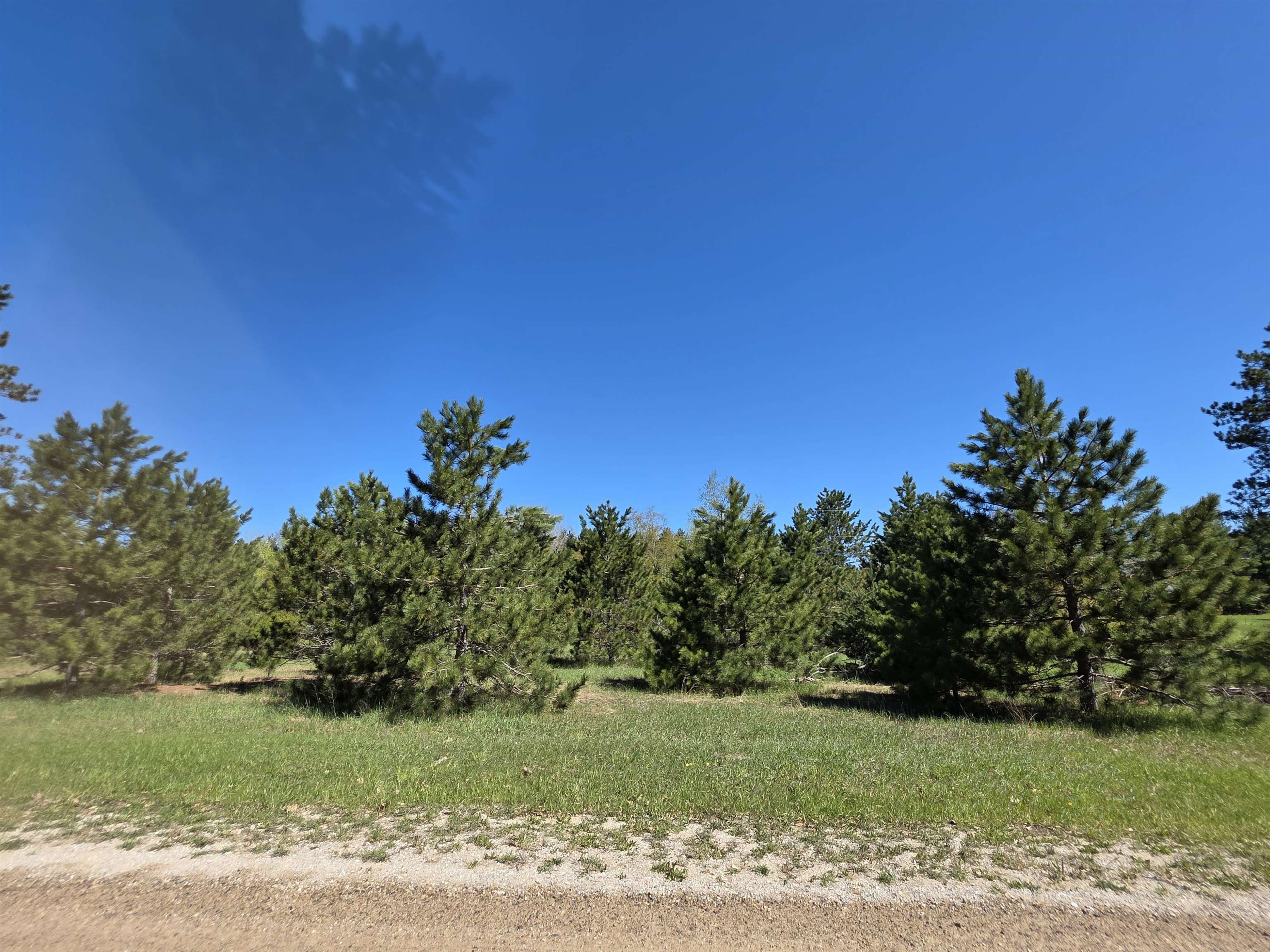 Vl 2-acres Arnold Road Manton, MI 49663 - Photo 3 of 15