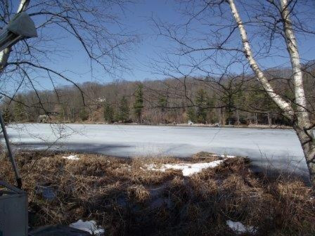 6014 East Interlochen Road Fountain, MI 49410 - Photo 23 of 24 DSCF5108