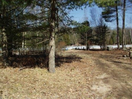 6014 East Interlochen Road Fountain, MI 49410 - Photo 5 of 24 DSCF5118
