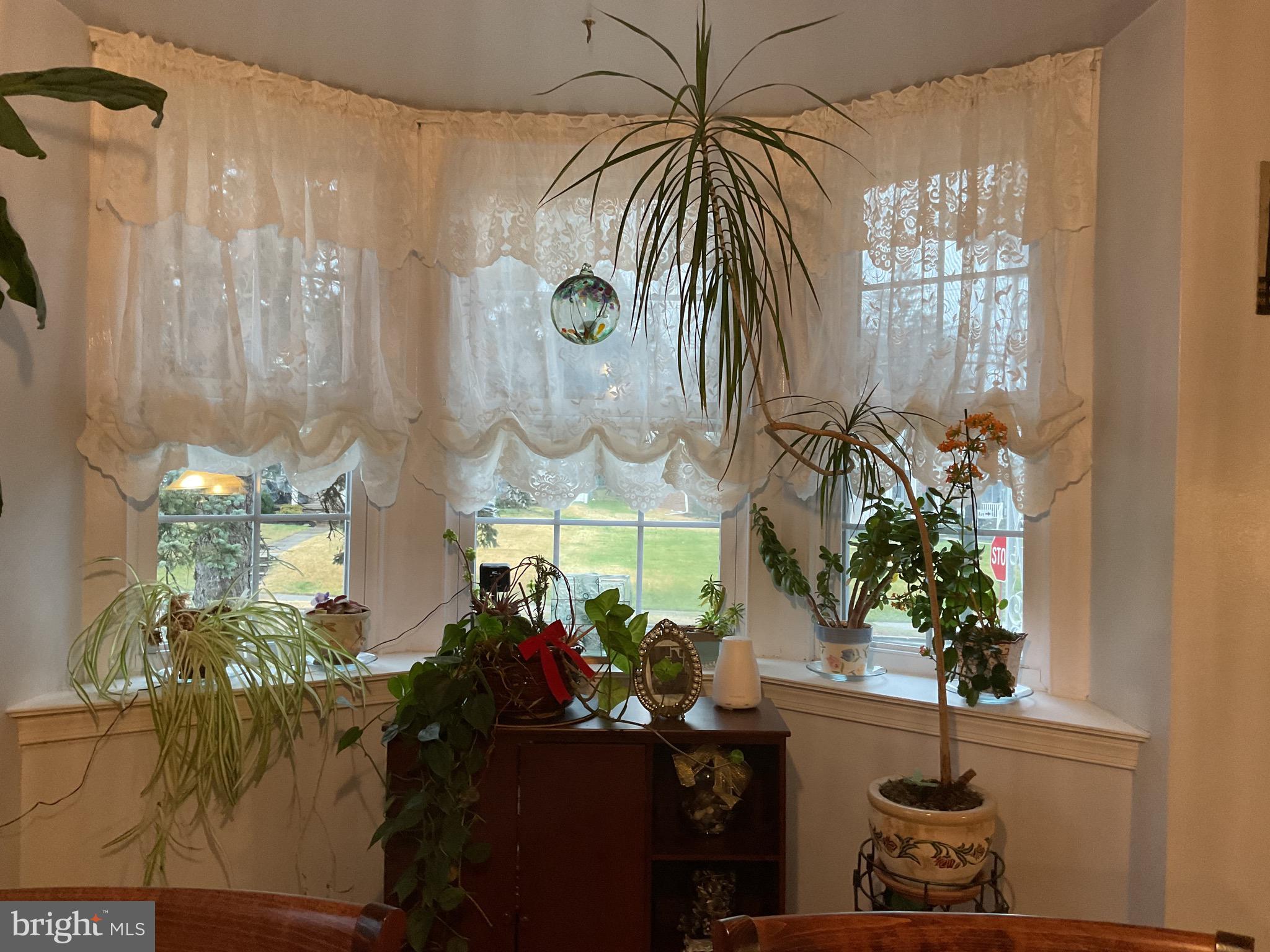 909 Providence Road Springfield, PA 19064 - Photo 10 of 43 Beautiful Bow Window in Dining room