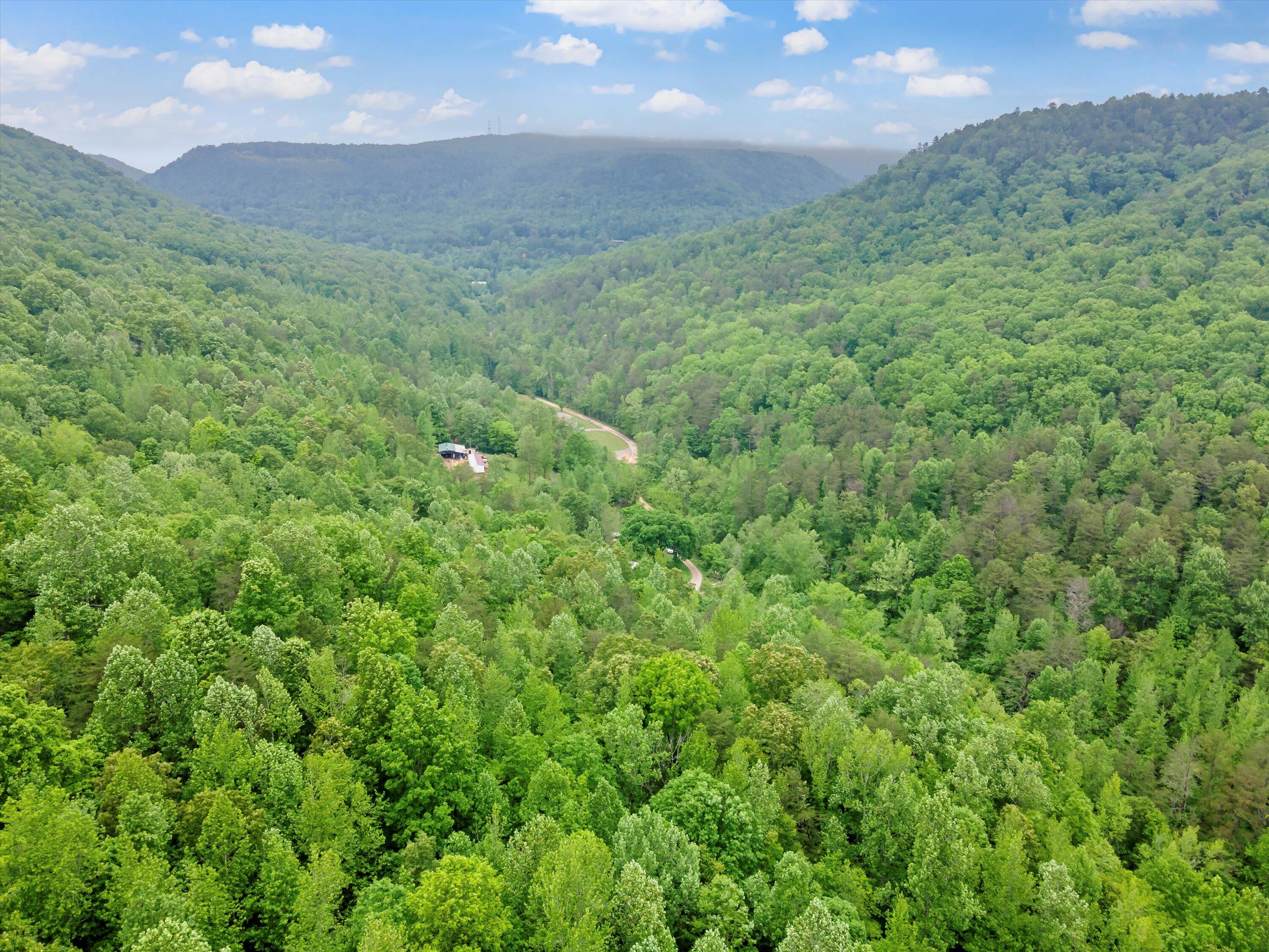 0 Egypt Hollow Road Trenton, GA 30752 - Photo 14 of 15 6-0 Egypt Hollow Rd Aerial-06