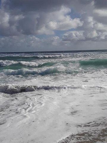 680 Horizon West, Unit 103 Boynton Beach, FL 33435 - Photo 38 of 61 a view of beach and ocean