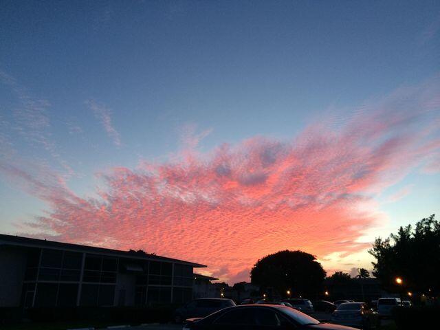 680 Horizon West, Unit 103 Boynton Beach, FL 33435 - Photo 39 of 61 a view of a yard