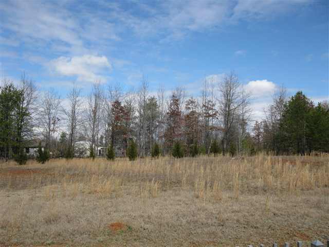 437 Becky Gibson Road Greer, SC 29651 - Photo 22 of 22