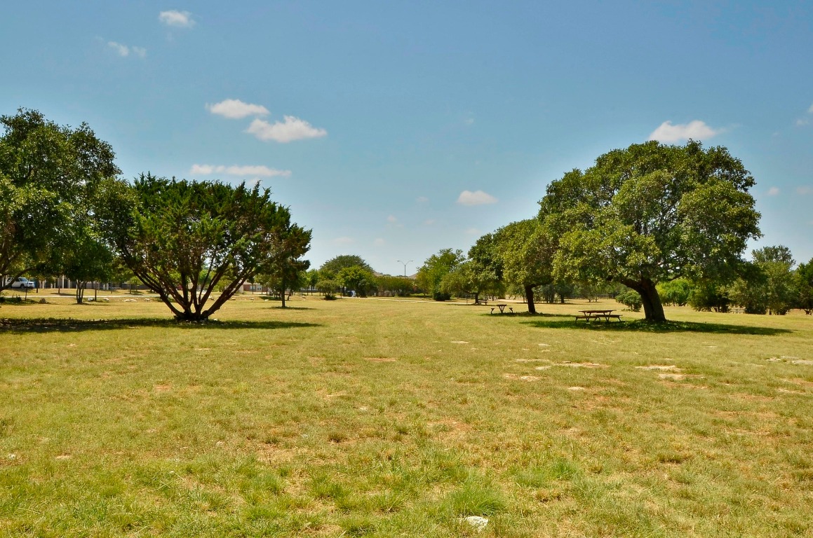 809 Stillhouse Spring Round Rock, TX 78681 - Photo 35 of 40