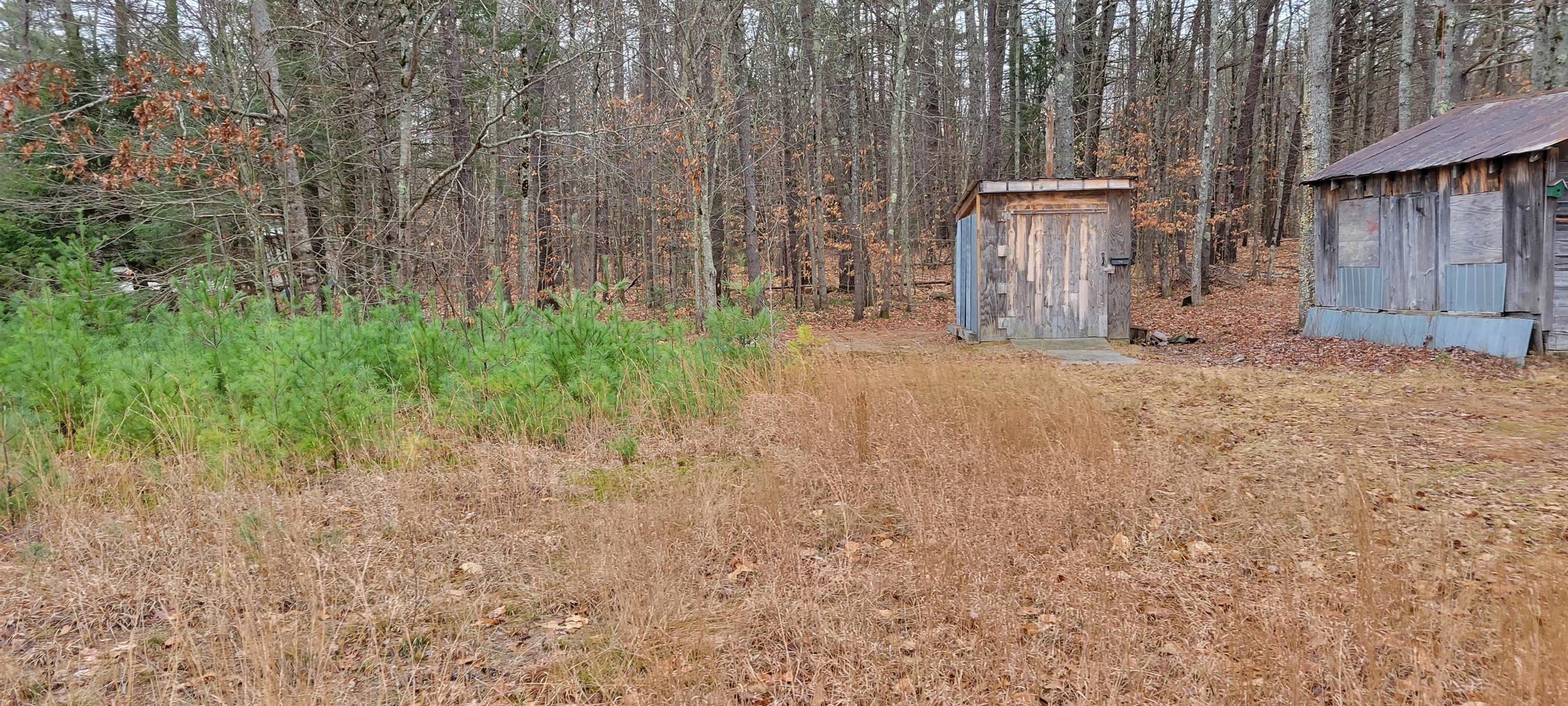 247 Odell Hill Road Conway, NH 03813 - Photo 3 of 10
