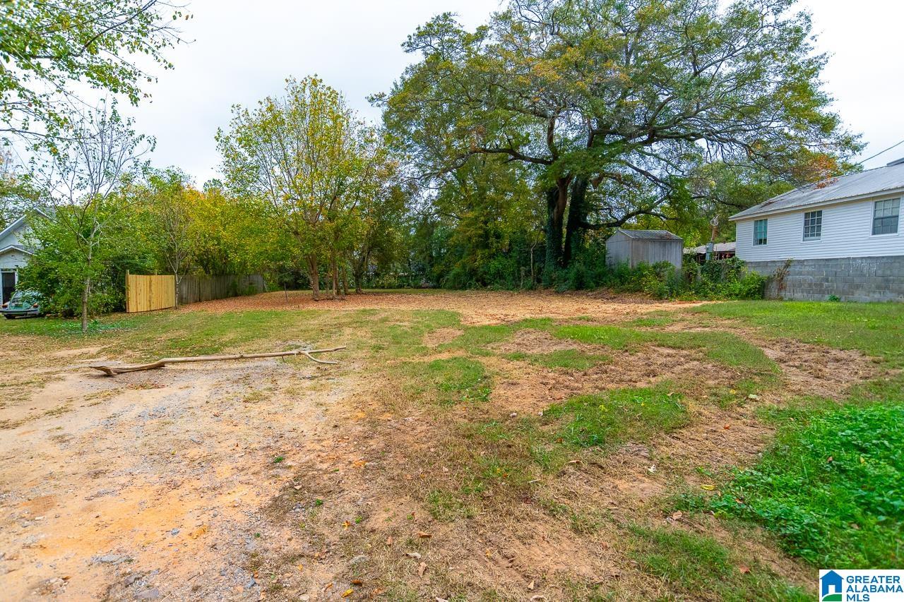 3708 Perry Street Guntersville, AL 35976 - Photo 4 of 29