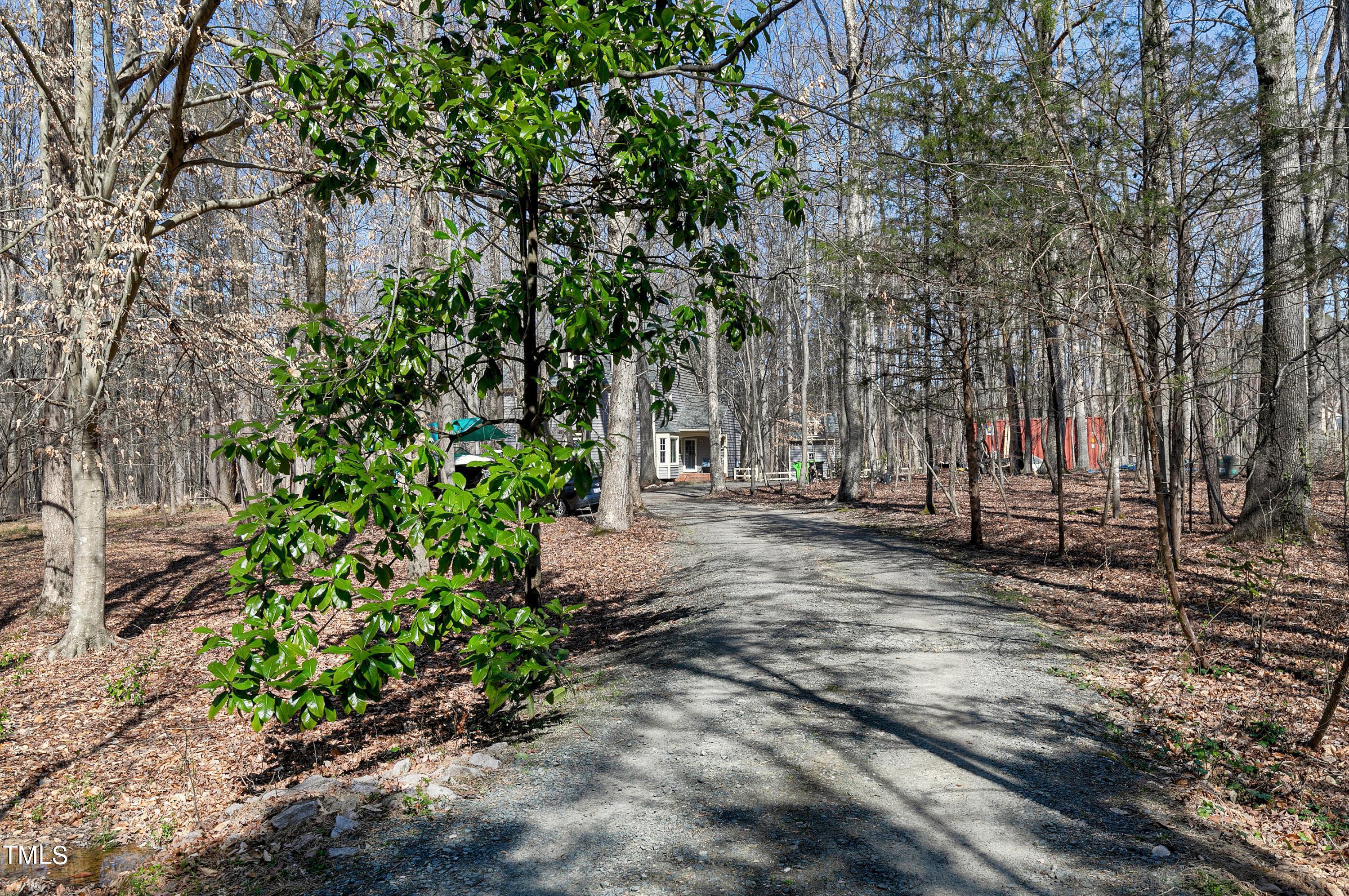 10021 Sycamore Road Raleigh, NC 27613 - Photo 33 of 40 a view of a yard with plants and trees