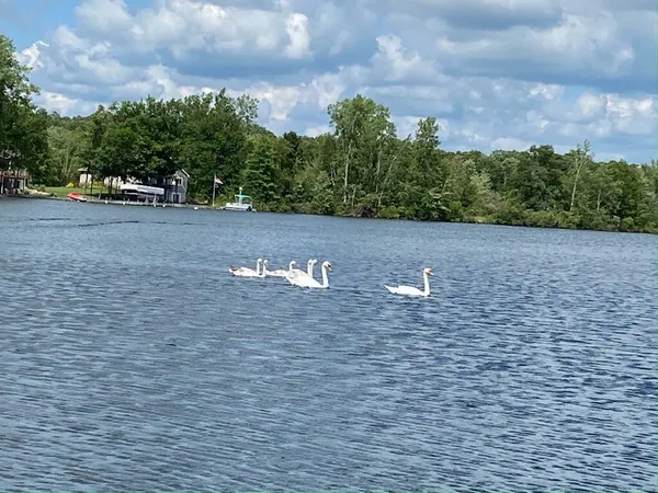 $599,900 | 8623 Mohawk Trail, Unit LOT 61, Howard City, MI 49329