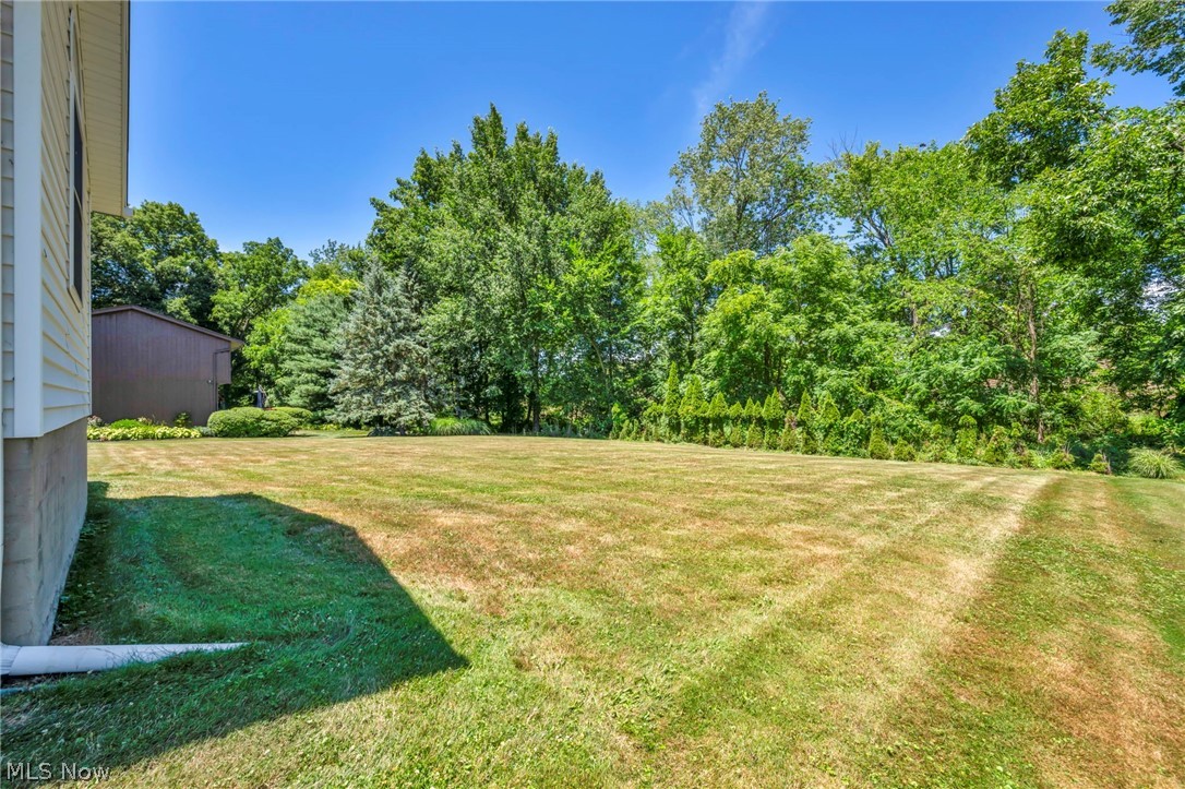 1927 Connect Road Barberton, OH 44203 - Photo 28 of 28 View of yard