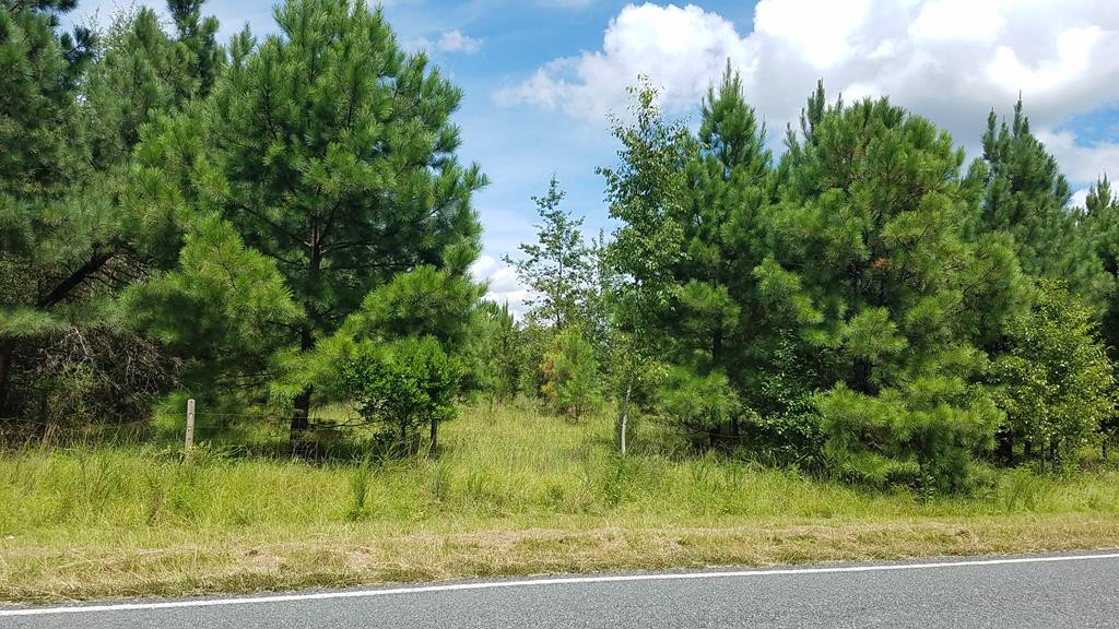 228 Colbert Bridge Road Windsor, SC 29856 - Photo 1 of 5