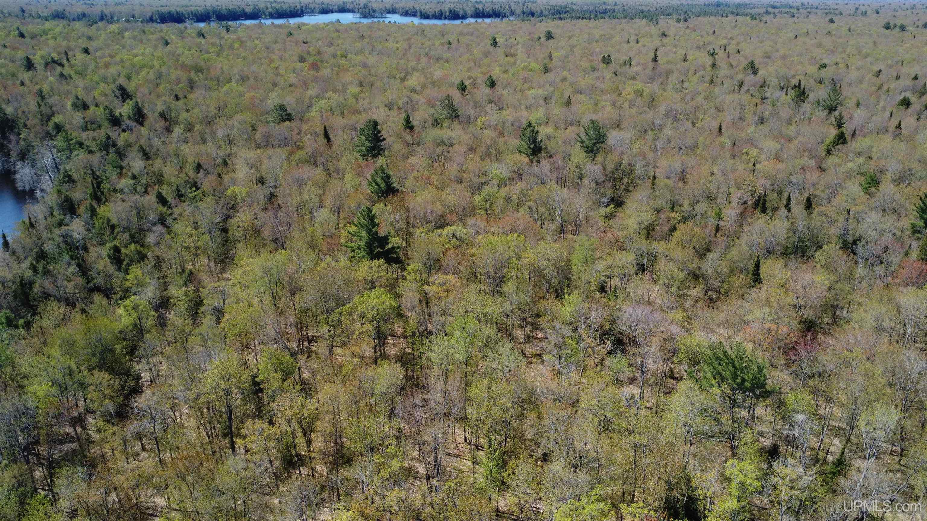 Off Adams Trail Shingleton, MI 49884 - Photo 35 of 46