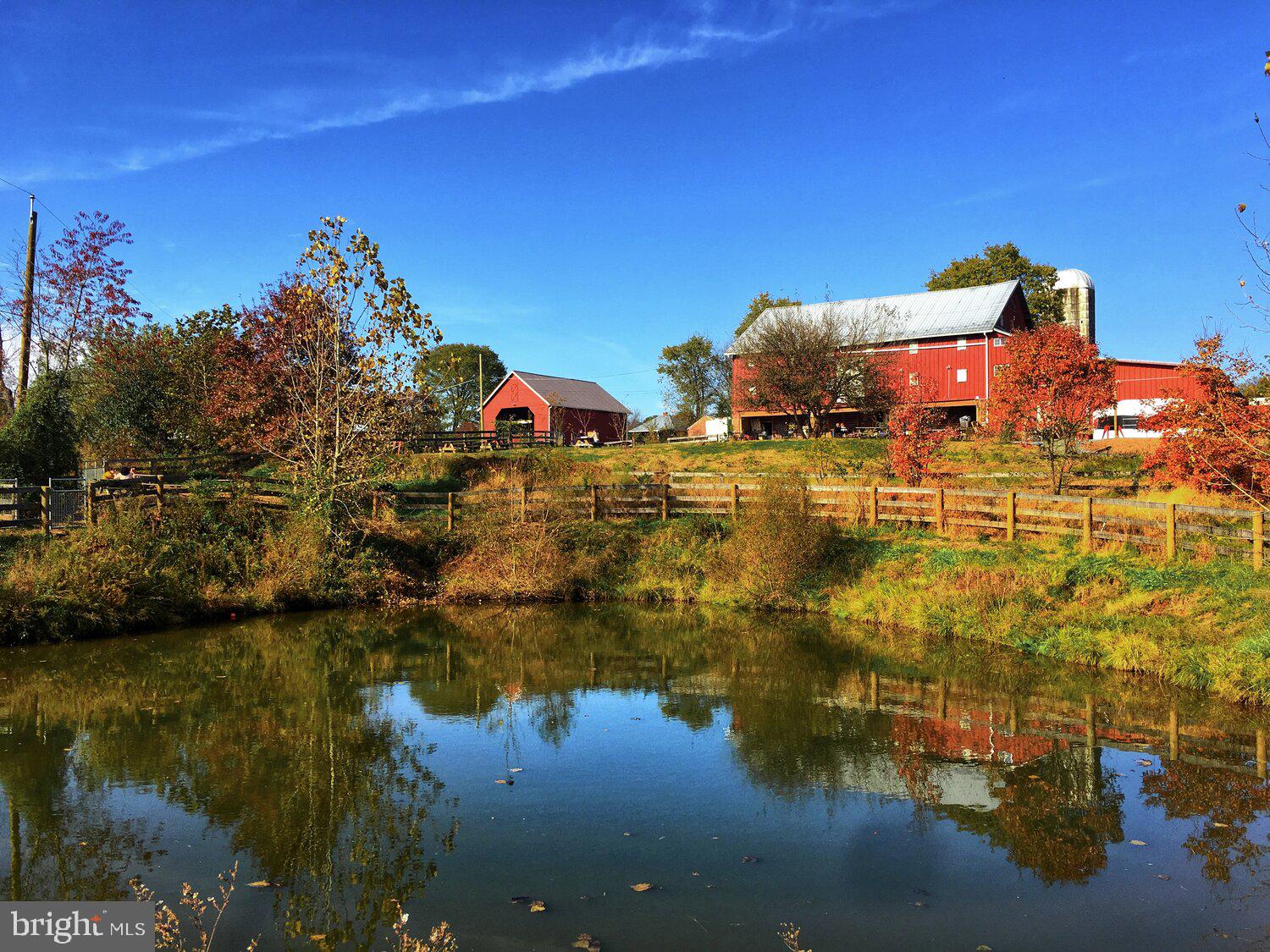 17615 Kohlhoss Road Poolesville, MD 20837 - Photo 47 of 54 ..or nearby Rocklands Farms...