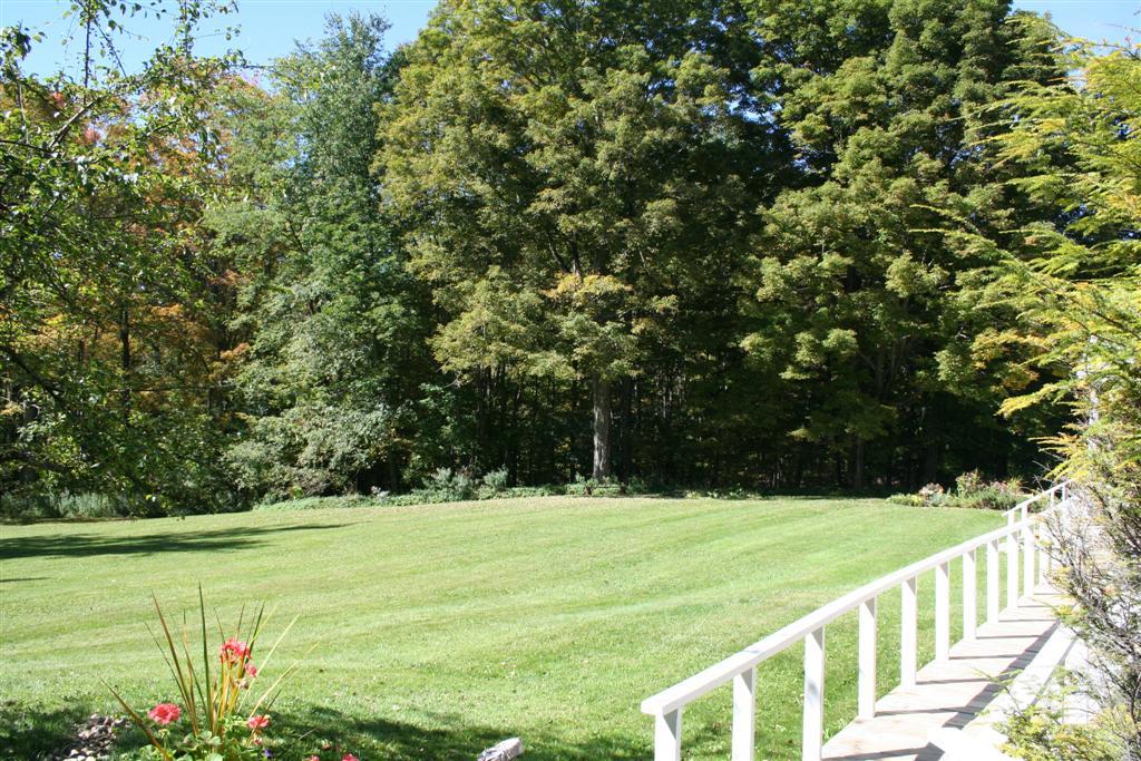 4 Main Road, Unit 4 Monterey, MA 01230 - Photo 3 of 14 a view of yard with green space