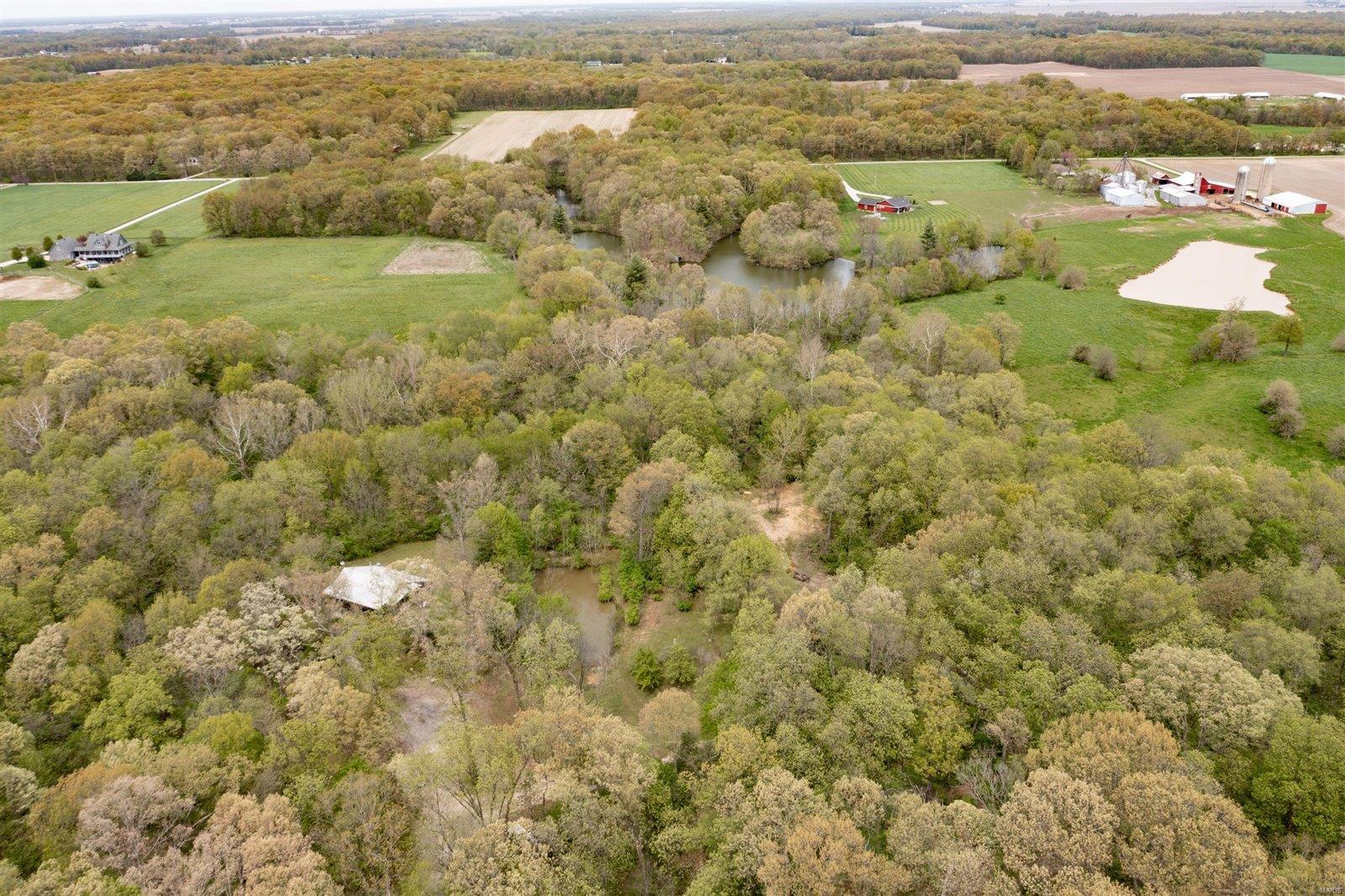 11807 Silver Creek Road New Douglas, IL 62074 - Photo 36 of 42