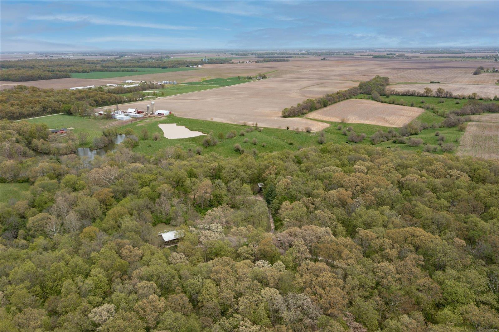 11807 Silver Creek Road New Douglas, IL 62074 - Photo 37 of 42