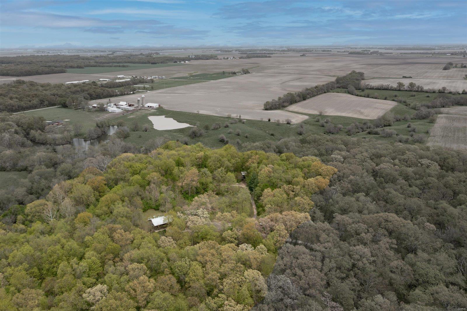 11807 Silver Creek Road New Douglas, IL 62074 - Photo 38 of 42