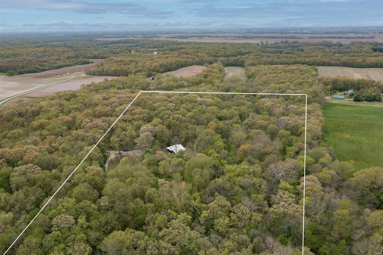 11807 Silver Creek Road New Douglas, IL 62074 - Photo 40 of 42