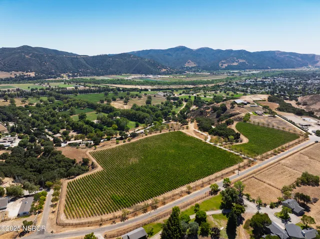 a view of a street with a trees