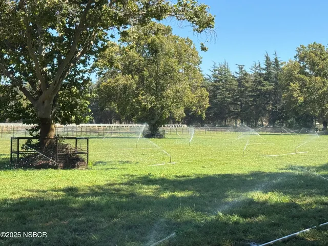 a view of a lake in middle of forest