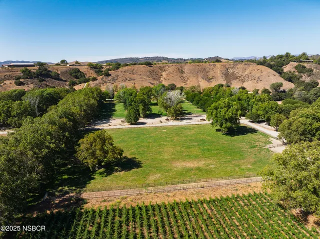 a view of a yard with a tree